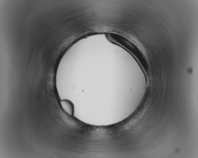 X0000099480441200805301622