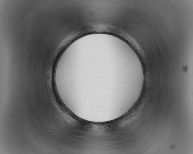 X0000099480442200805301622