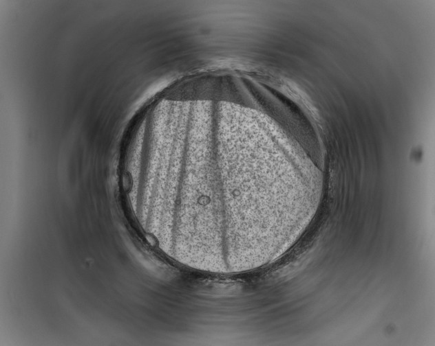 X0000099480443200805301622
