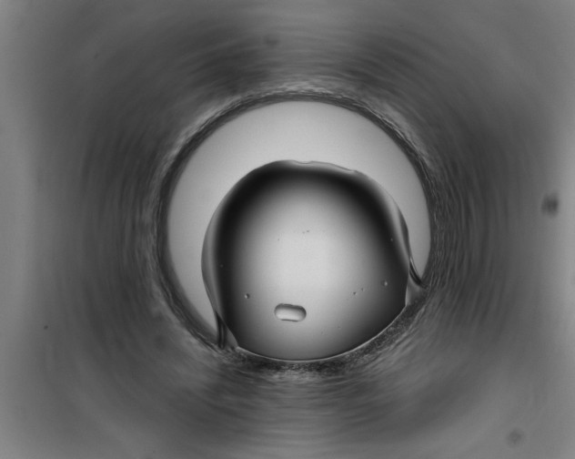 X0000099480444200805301622