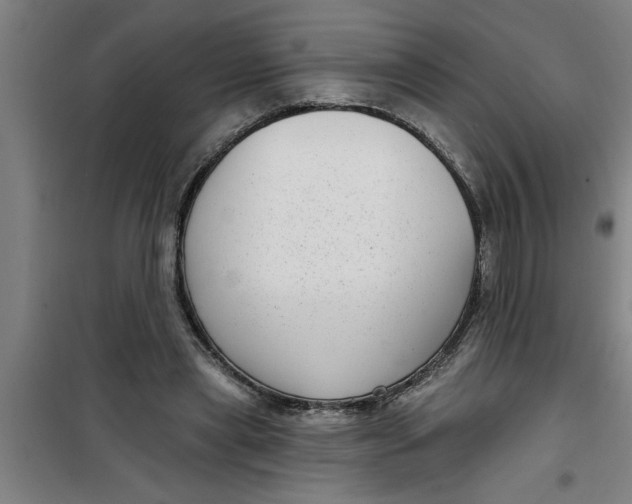 X0000099480445200805301622