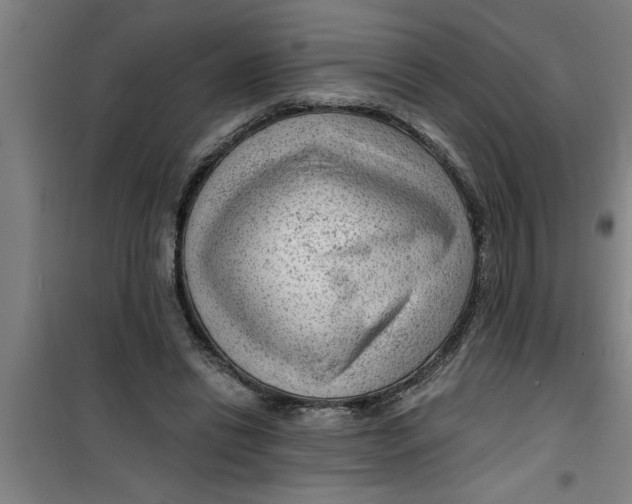 X0000099480446200805301622