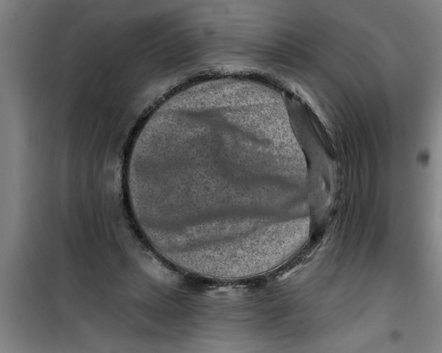 X0000099480447200805301622