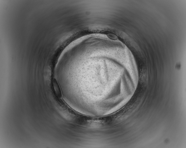 X0000099480448200805301622