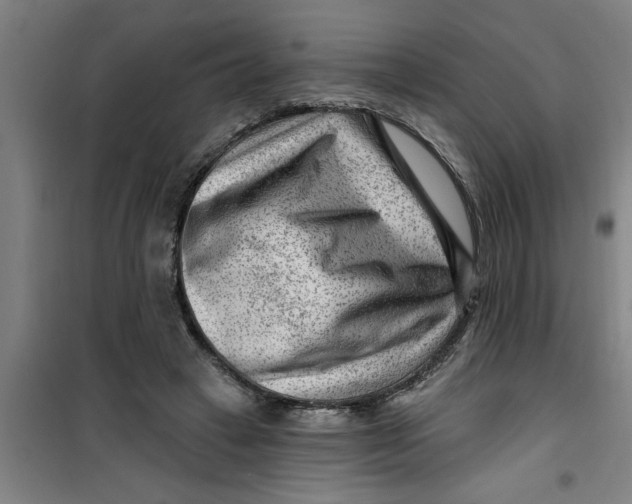 X0000099480449200805301622