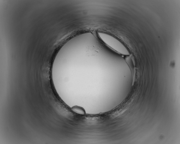 X0000099480450200805301622