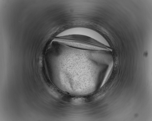 X0000099480452200805301622