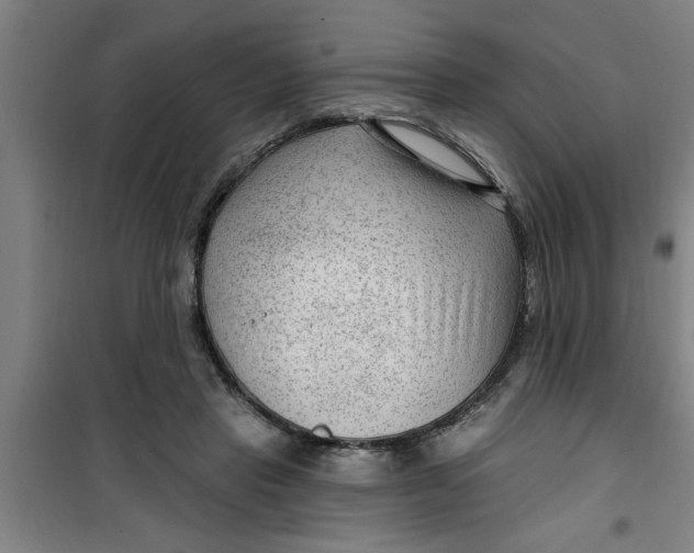 X0000099480453200805301622