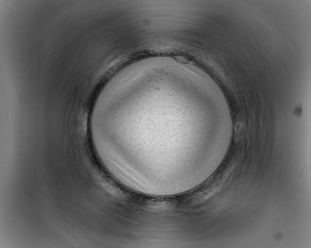 X0000099480454200805301622