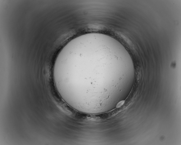 X0000099480455200805301622