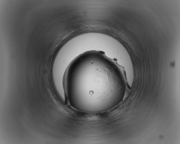 X0000099480456200805301622