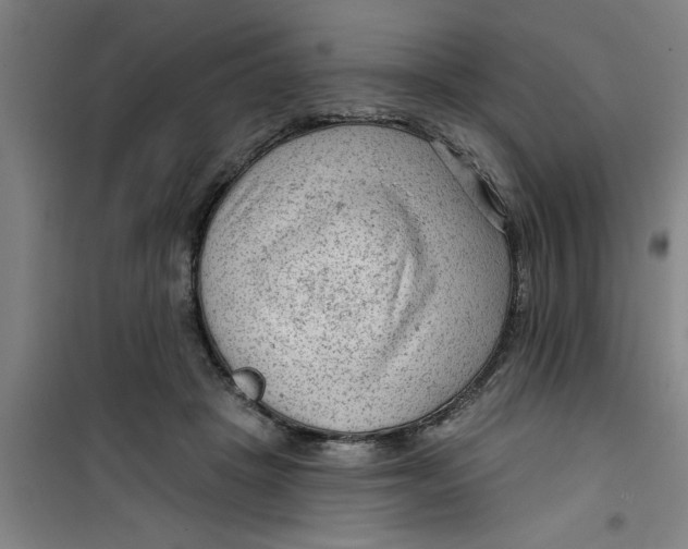 X0000099480457200805301622