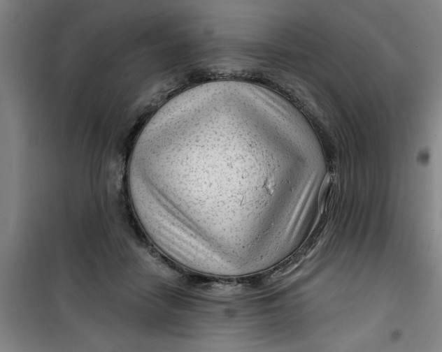 X0000099480458200805301622