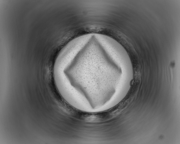 X0000099480460200805301622