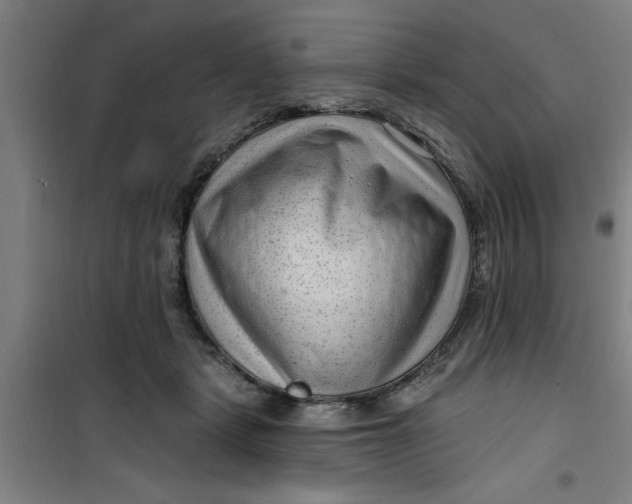 X0000099480461200805301622