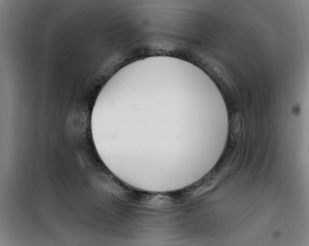 X0000099480463200805301622