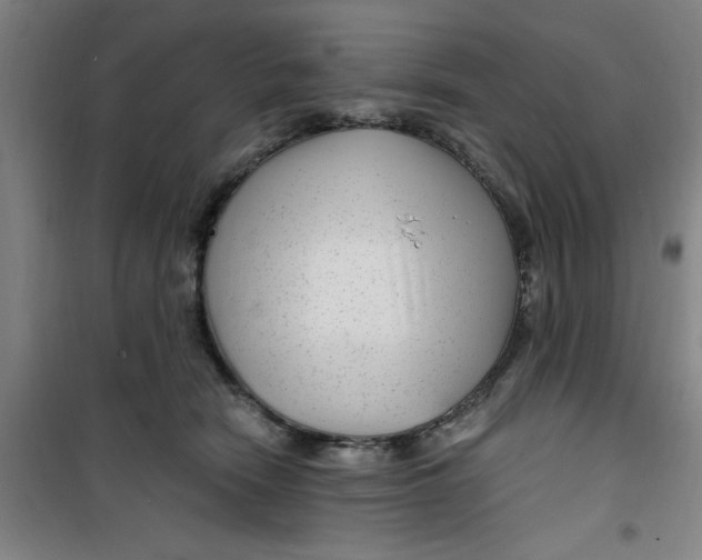 X0000099480466200805301622