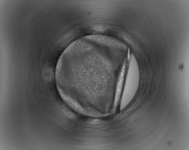 X0000099480467200805301622