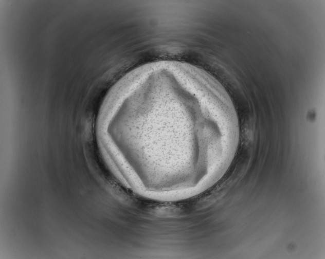 X0000099480468200805301622