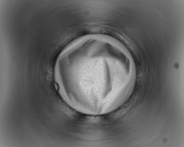 X0000099480469200805301622