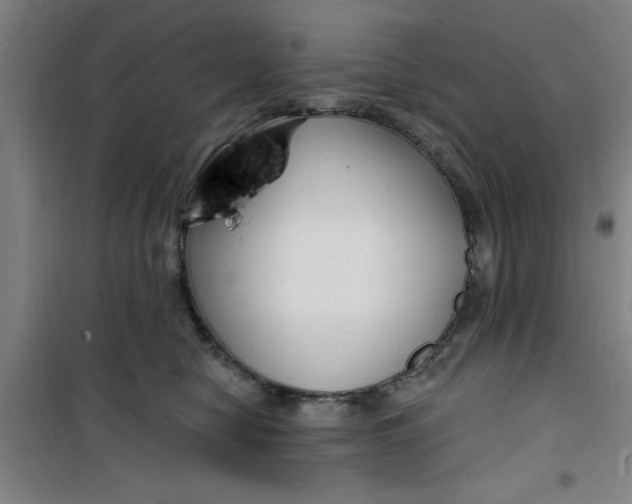 X0000099480470200805301622