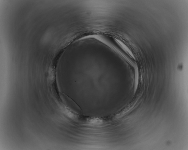 X0000099480471200805301622