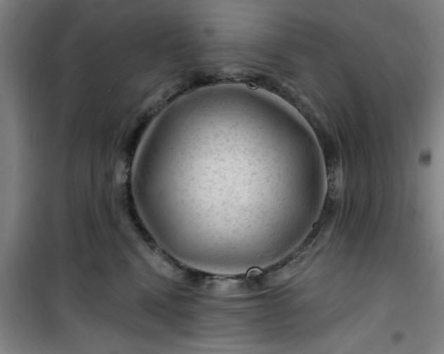 X0000099480472200805301622