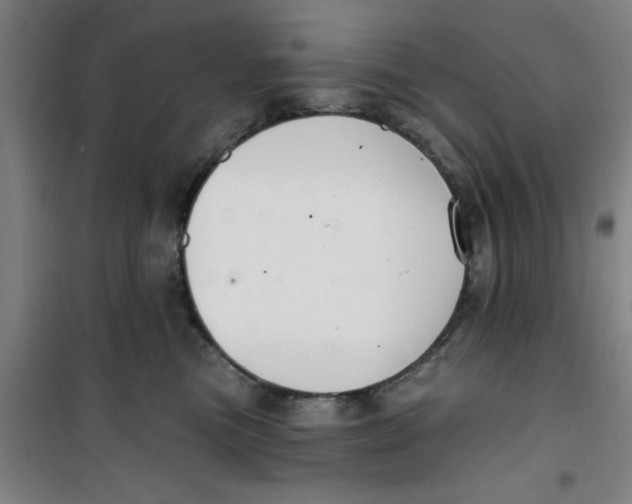 X0000099480473200805301622