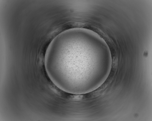 X0000099480474200805301622