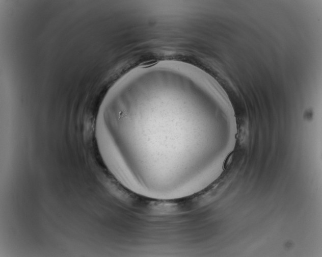 X0000099480476200805301623