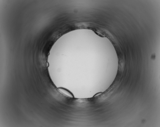 X0000099480477200805301623