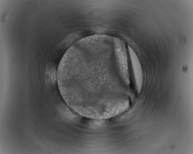 X0000099480479200805301623