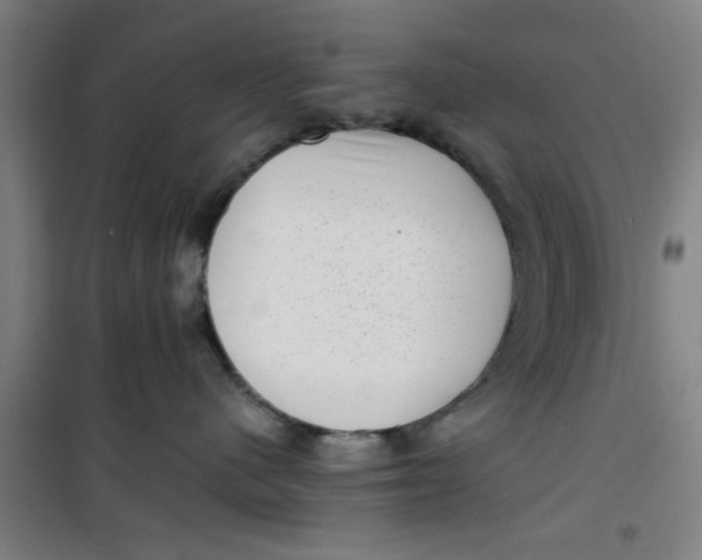 X0000099480480200805301623