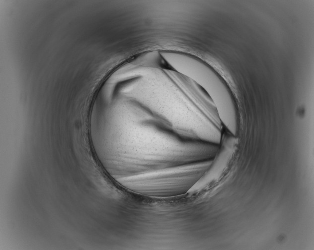 X0000099480481200805301622