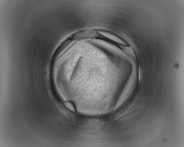 X0000099480483200805301622