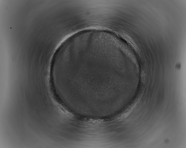 X0000099480484200805301622