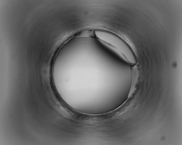 X0000099480485200805301622