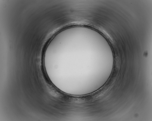 X0000099480486200805301622