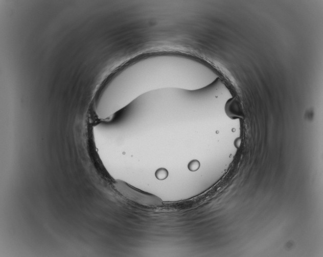 X0000099480487200805301622