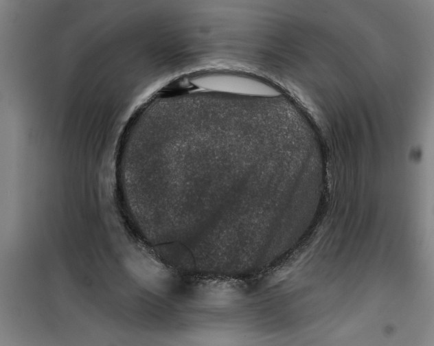 X0000099480488200805301622
