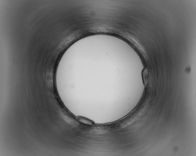 X0000099480489200805301622