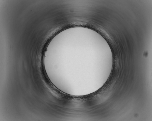 X0000099480490200805301622