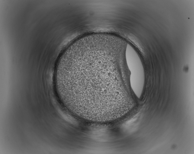 X0000099480491200805301622