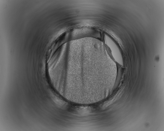 X0000099480493200805301622