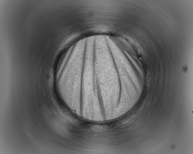 X0000099480494200805301622