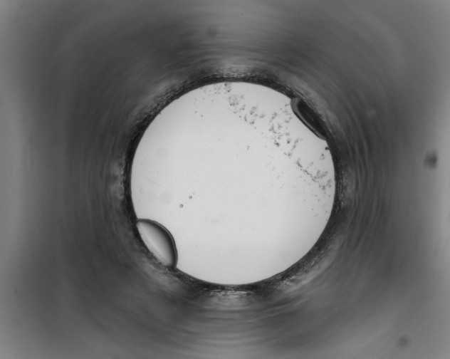 X0000099480497200805301622