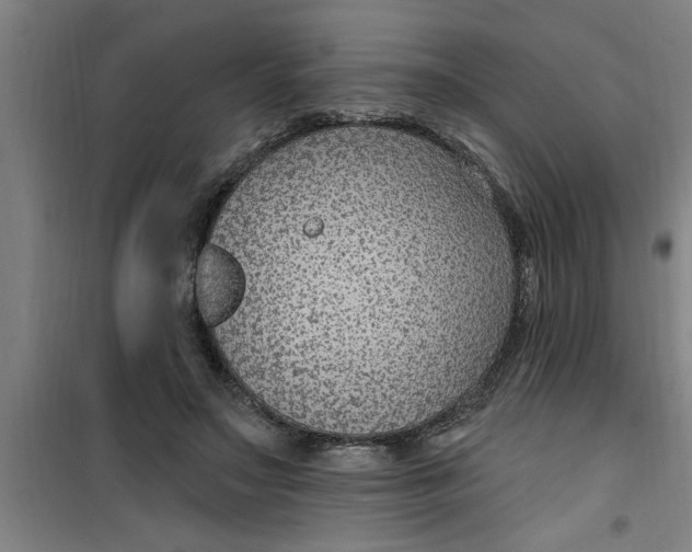 X0000099480499200805301622