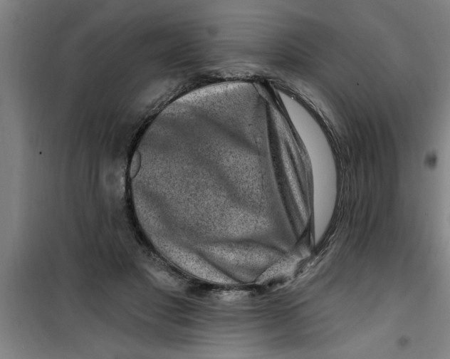 X0000099480501200805301622