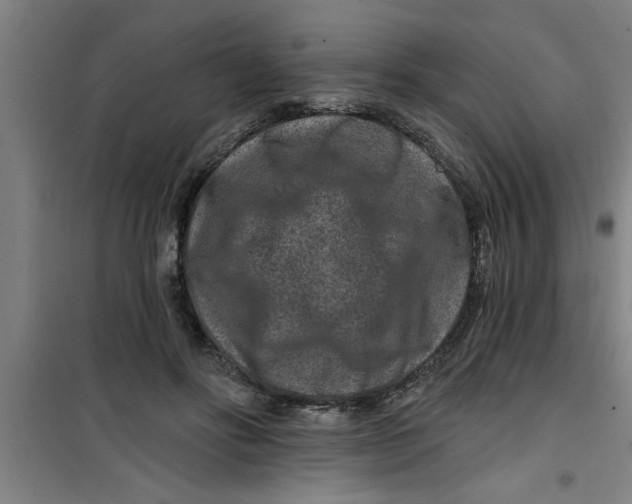 X0000099480502200805301622