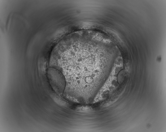 X0000099480503200805301621